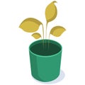 Isometric yellow home plant in a round green pot.
